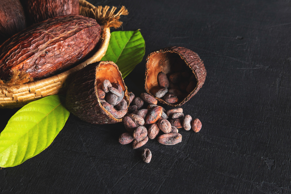 Dried Cocoa and Cocoa Beans