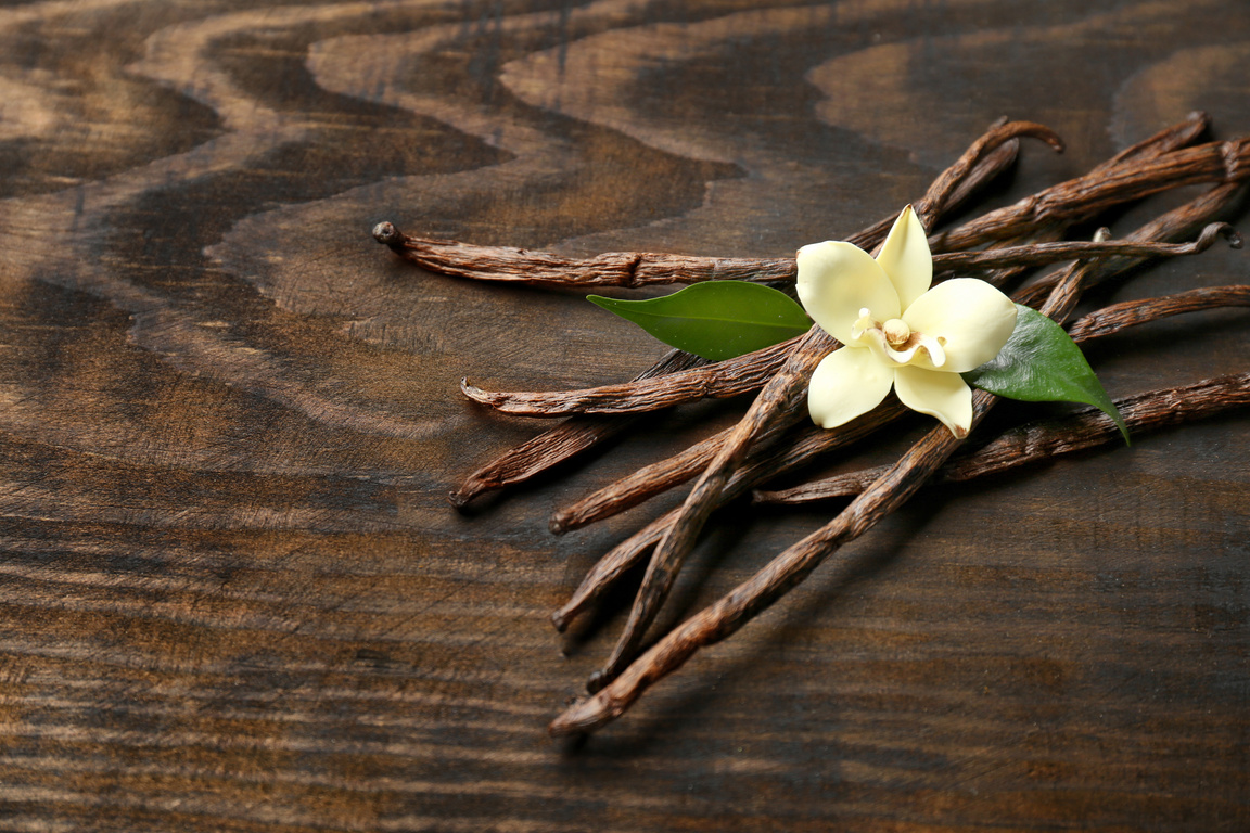 Vanilla Beans with an Orchid